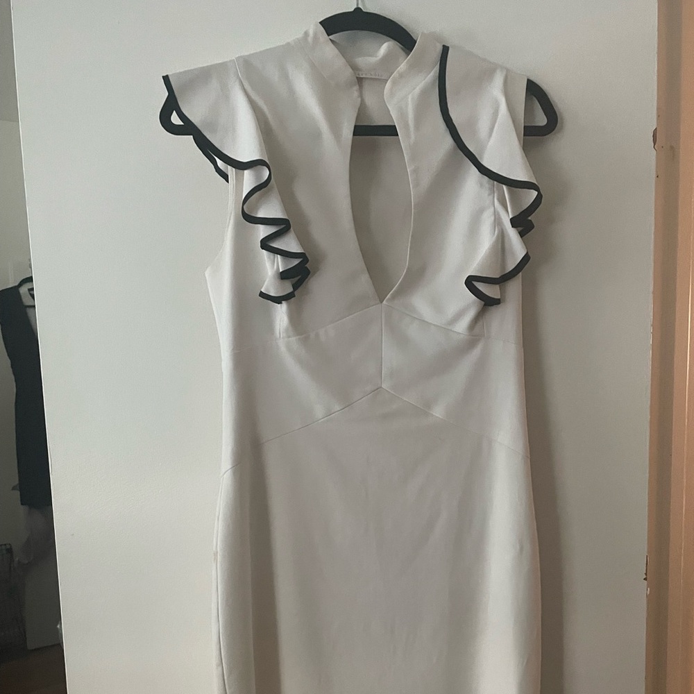 Black Halo Ruffled Pin Dress